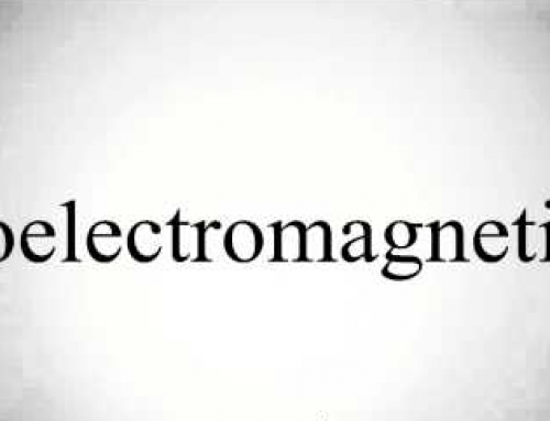 The Basis of Bioelectromagnetism