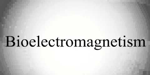 The Basis of Bioelectromagnetism